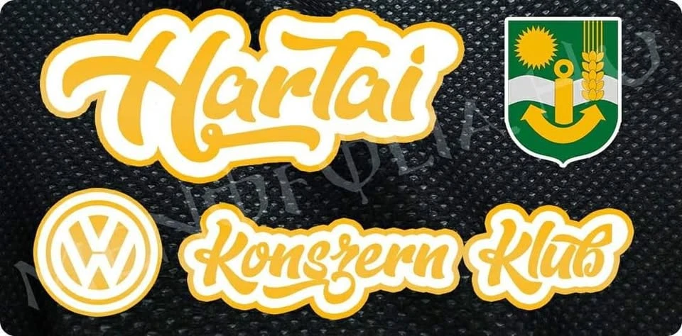 10. Szelidi Jubileumi VW-konszern Találkozó és Családi Nap