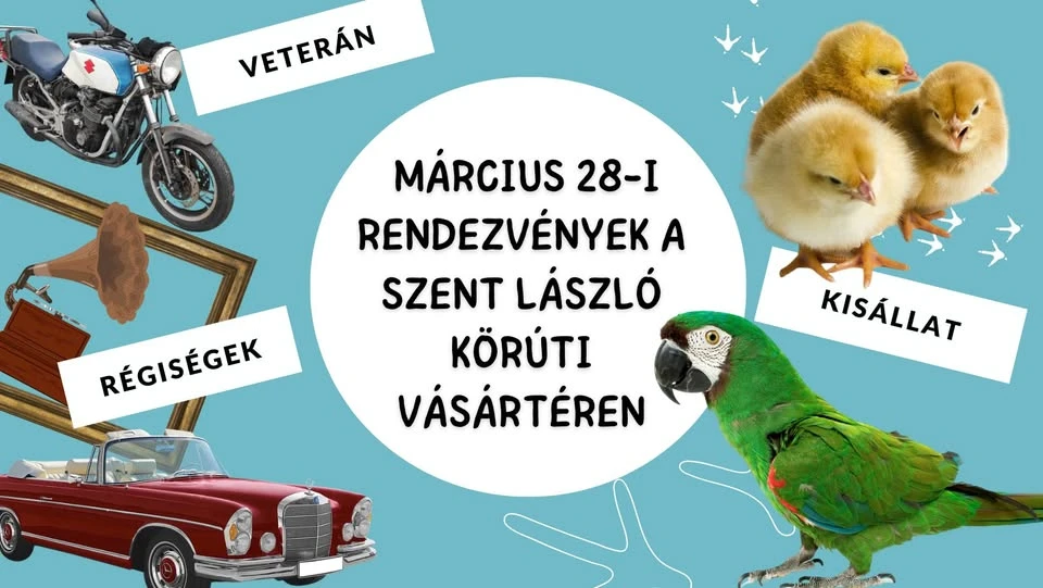 Kisállatvásár, veterán, zsibi