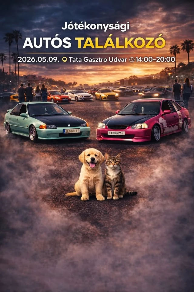 VI. Jótékonysági Márkafüggetlen Autós Találkozó