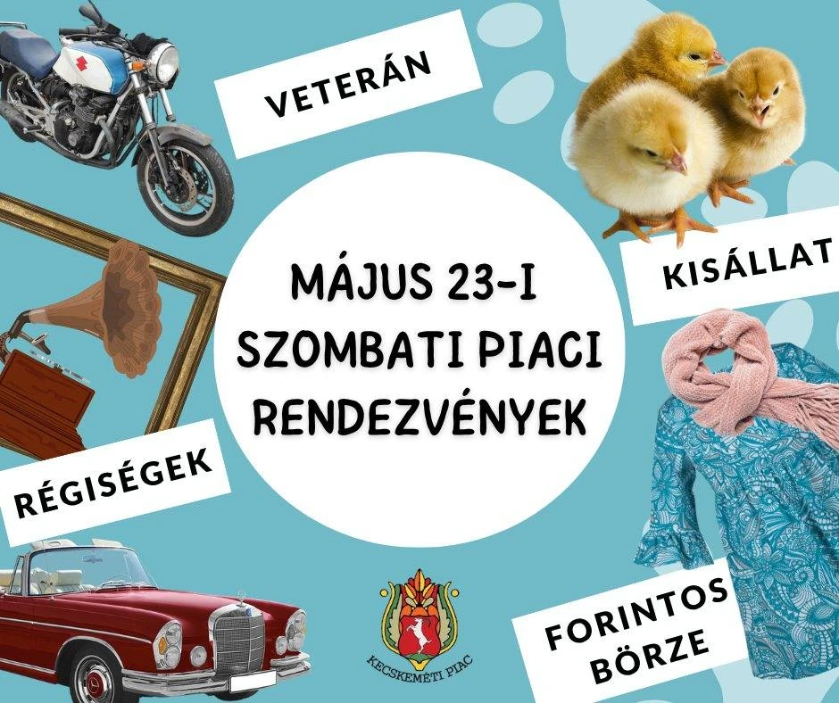 Kisállatvásár, Veterán Börze és Régiségpiac